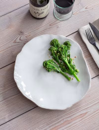 Ithaca Dinner Plate White