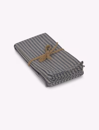 Hampton Stripe Napkins Set of 4 Blue