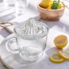ee1.avif Classic Glass Juicer