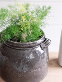 r6.avif Ravello Pot with Handles 21cm Charcoal