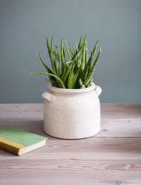 t1.avif Ravello Pot with Handles 21cm White