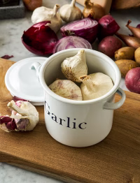 u8.avif Enamel Garlic Store White