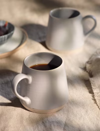 ww4-1.avif Coxwell Mugs Set of 2 Flint